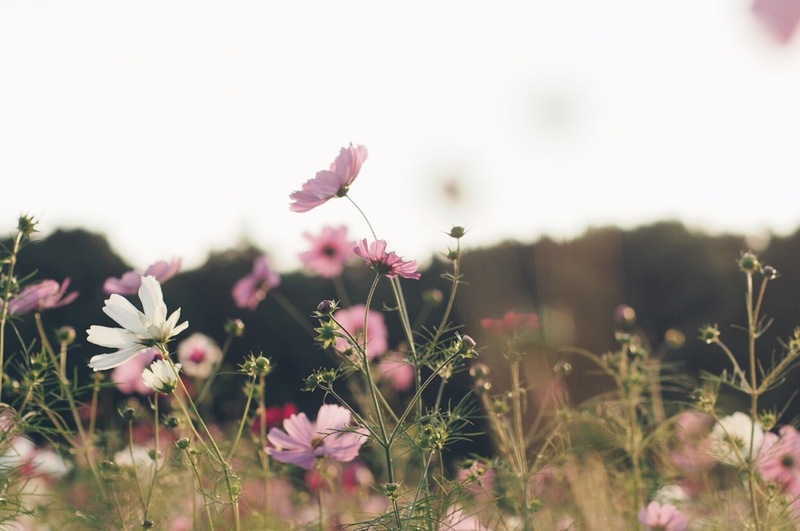 マイナスなイメージばかり持つのでなく…