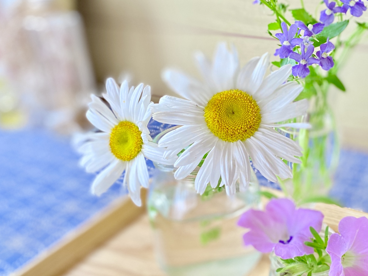 自分の幸せ探し