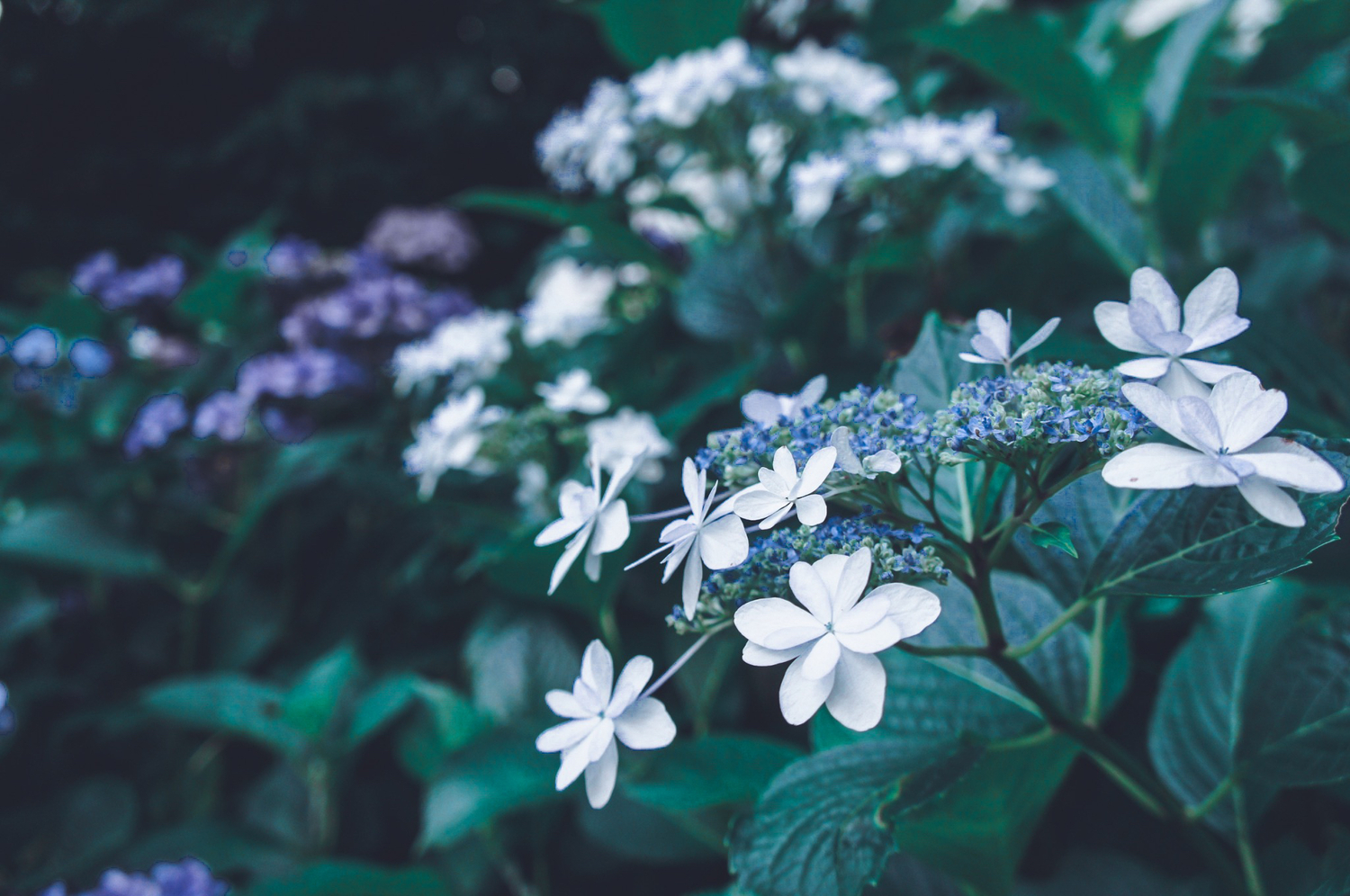 誰かに認められたいという気持ち