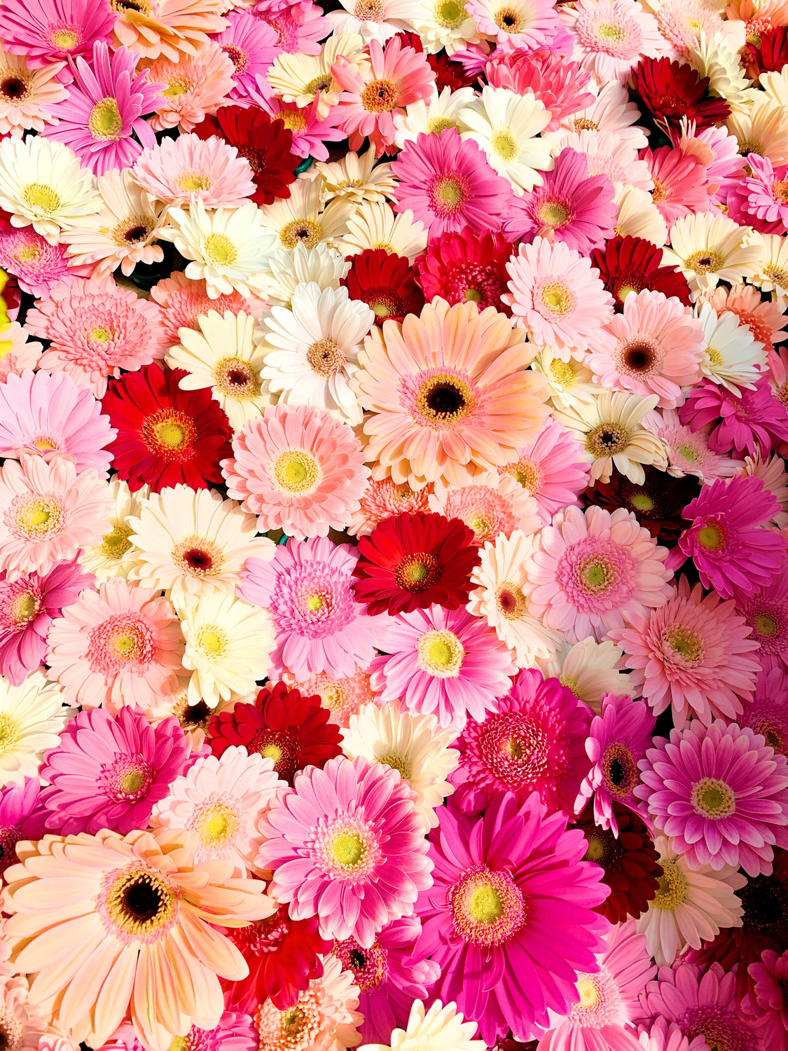 魔法のような力を持っている“笑顔”