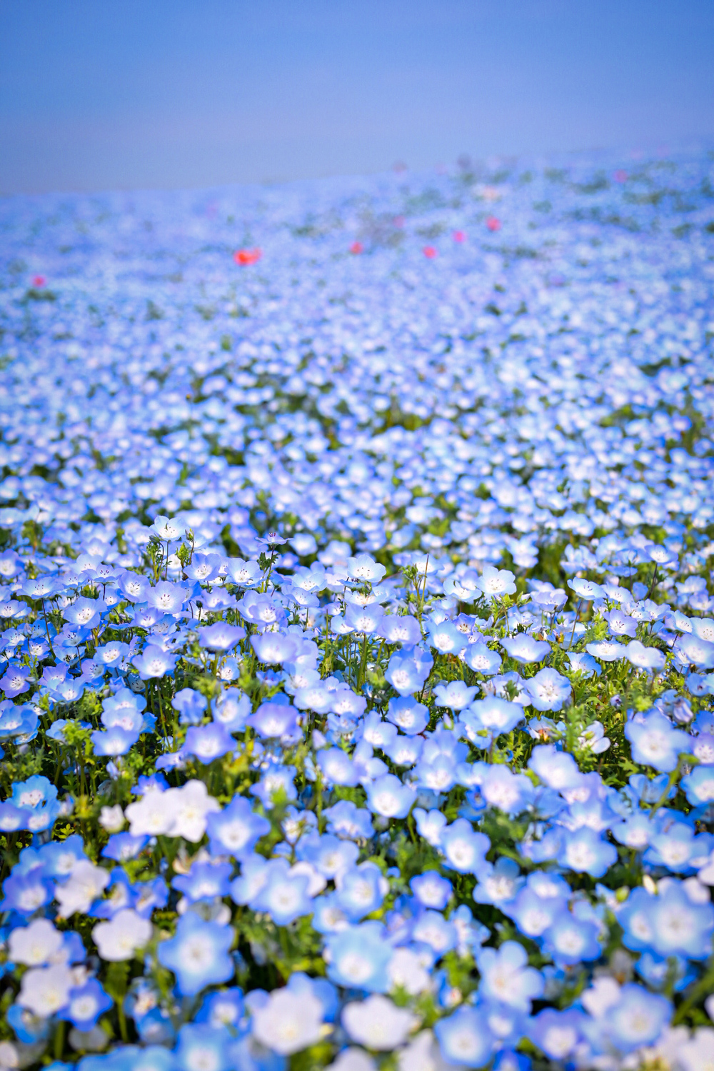 不安に思うことが問題解決のヒントに！