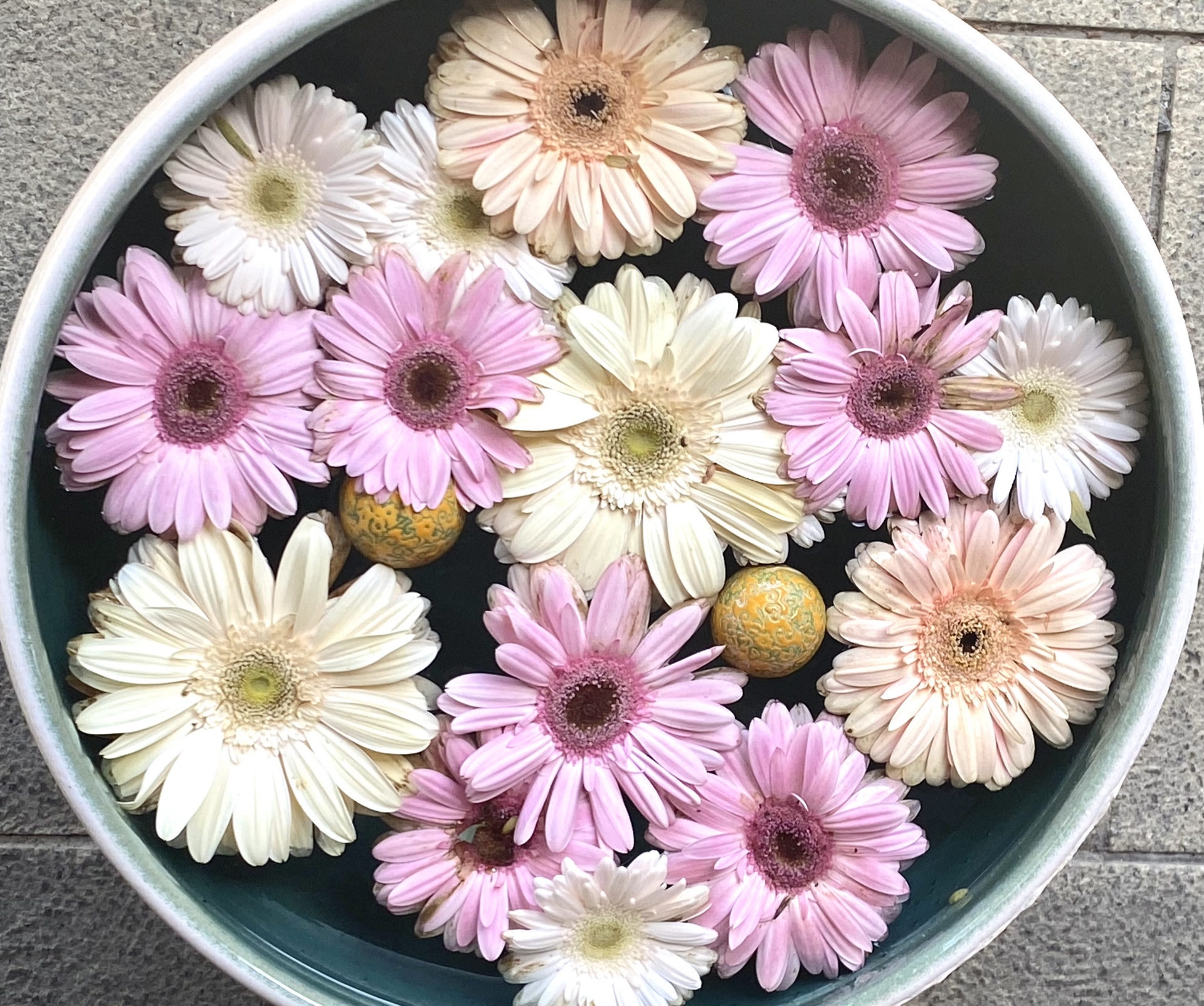 イライラしたときは6秒間の我慢をする