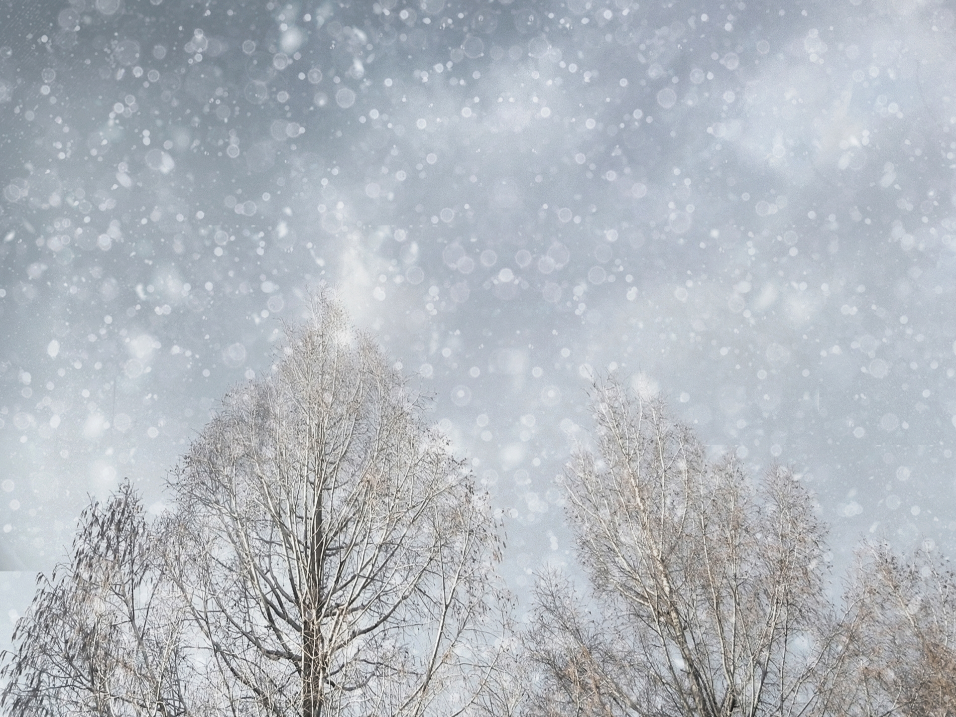 冬季うつに要注意！心を元気にする3つの習慣