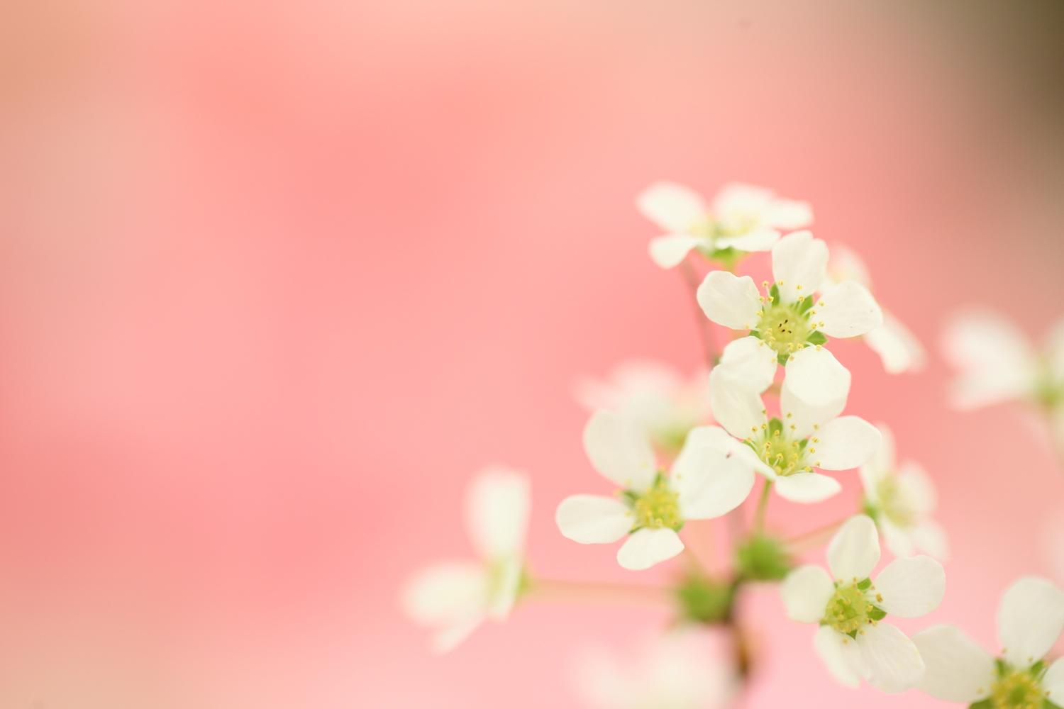 素直な気持ちになって、心と体に休息を！
