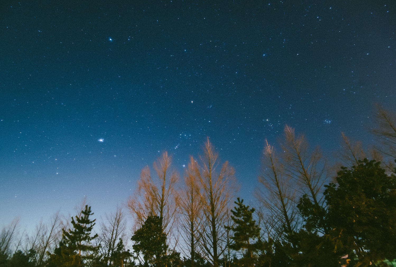 自分の目で見える世界を信じる