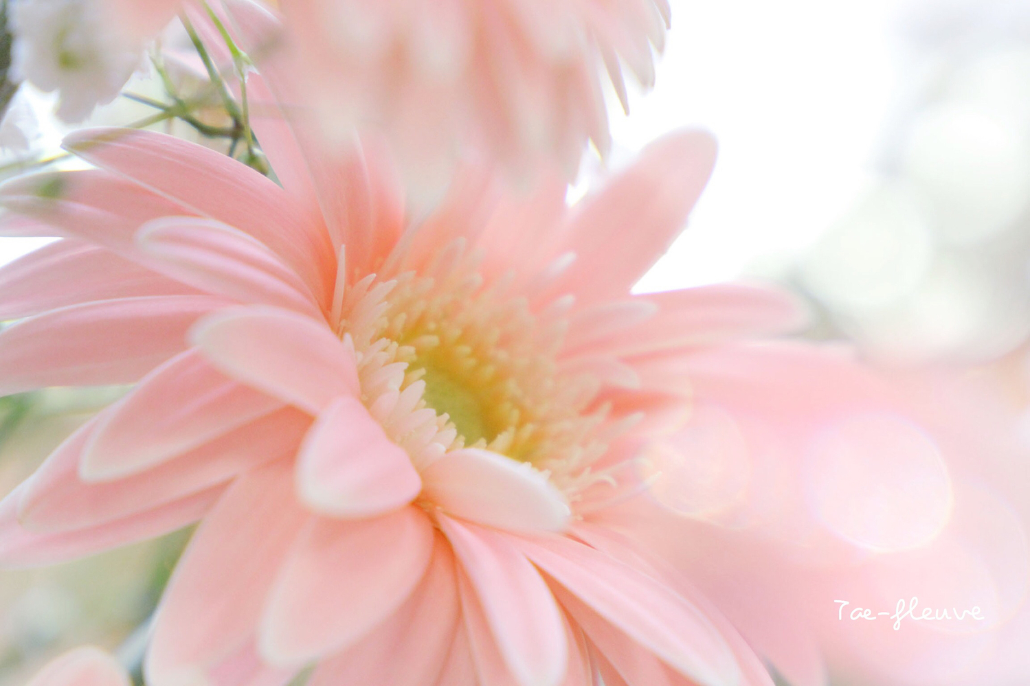 明日への大きな一歩を踏み出すためには