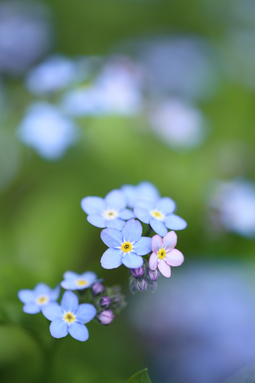 ハードルは上げすぎないように