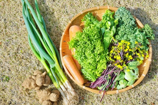 木の芽時こそ春野菜を！心身を健やかにする春野菜の栄養とおすすめ食材を紹介