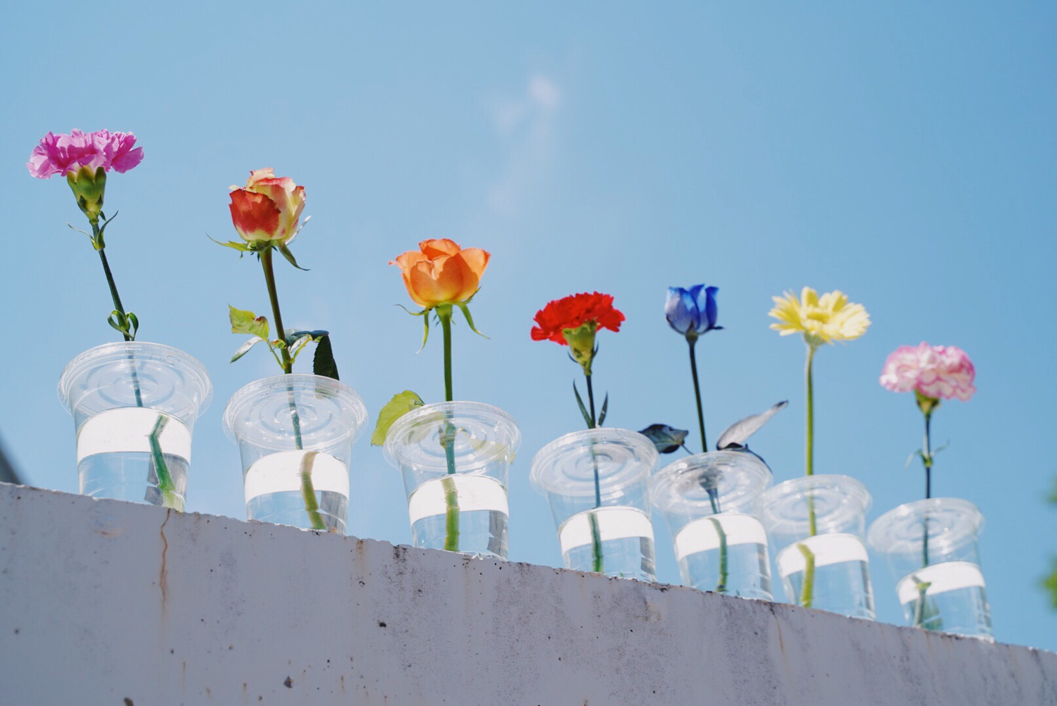 嫌なこと、苦手なことだったとしてもやってみる！