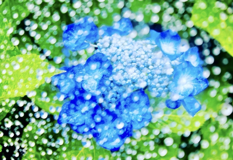 バタバタ4月を乗り越えて…